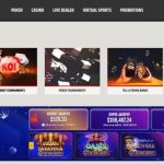 No deposit Bonus United kingdom 2024 See No deposit Casinos