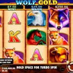 The fresh Aztec Spins slot Matchless Charm out of Super Moolah Position Game