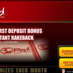 Bitstarz Extra Password 100 100 percent free Revolves No deposit