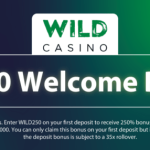 The newest United states Casinos on the internet Oct 2024