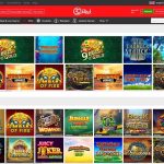 Reel Queen Slot machine A free Novomatic Internet super fast hot hot respin casino casino Online game